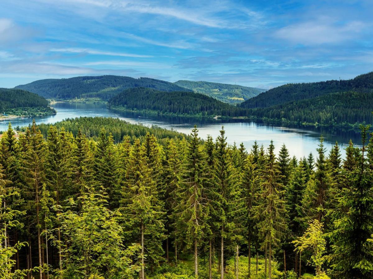 Black Forest Luxury Apartment Waldglueck Mit Sauna Königsfeld im Schwarzwald Esterno foto