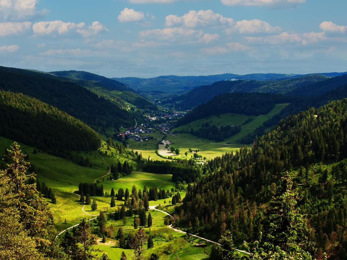 Black Forest Luxury Apartment Waldglueck Mit Sauna Königsfeld im Schwarzwald Esterno foto